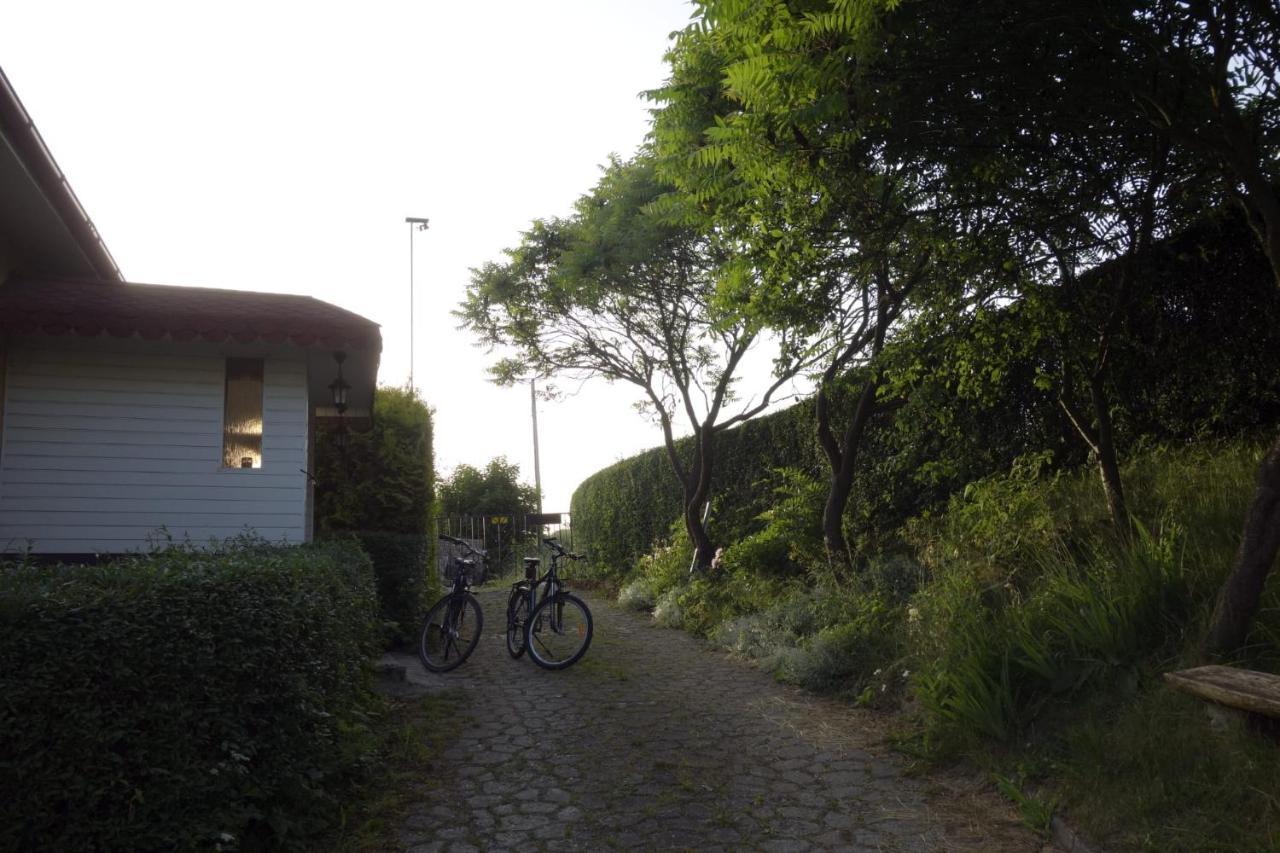 U Zbyszka Apartment คาเมียนนา กูรา ภายนอก รูปภาพ